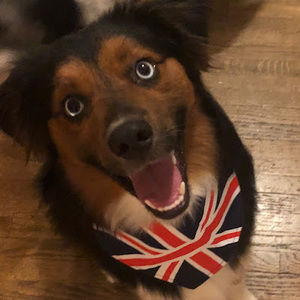 Meet your Posher, Carly